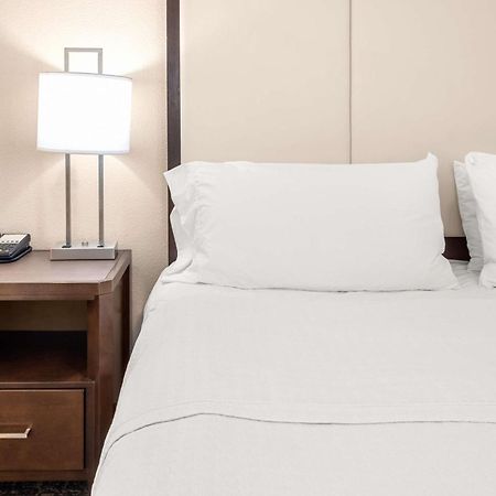 Homewood Suites By Hilton San Marcos Zewnętrze zdjęcie